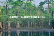小刺猬吃什么(最佳饮食指南是什么)