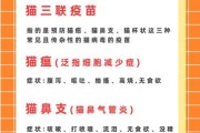 猫打疫苗后多久能洗澡？正确时间与注意事项