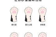 肉垫(猫肉垫形状透露性格)