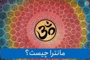 ماذا يحدث إذا أكلت قطتي الجيلي؟ إليك ما تحتاج إلى معرفته