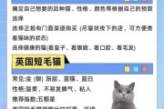 什么属相不能养猫咪(什么属相不能养猫猫咪的穿衣服)