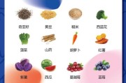 狗狗吃什么肉好吃又营养,肉食狗养什么品种最好