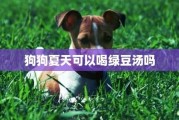 狗子能不能喝绿豆汤,狗可以喝绿豆汤粥吗