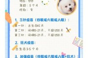 比熊驱虫频率解析：幼犬和成年犬的最佳驱虫时间表！