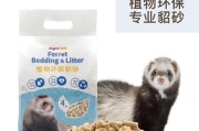 安格鲁貂吃什么,貂吃什么怎么喂养