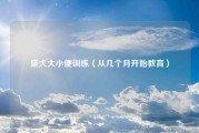 柴犬大小便训练（从几个月开始教育）