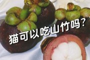 猫咪可以吃山竹吗,猫能吃山竹吗会死吗