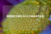 鹦鹉鱼吃小鱼吗(为什么小鱼会成为零食)