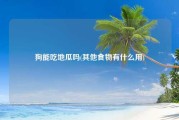 狗能吃地瓜吗(其他食物有什么用)