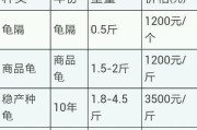 金钱龟的价格多少,金钱龟的价格走势