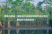 博美与泰迪（谁更适合做你的宠物伴侣让我们帮你做出明智选择）