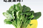 小狗可以吃菠菜嘛,小狗狗能吃菠菜吗