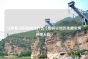 比熊怕冷的原因是什么（如何让你的比熊宝贝保暖无忧）