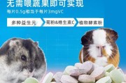 豚鼠吃什么补充维生素C,豚鼠吃什么草