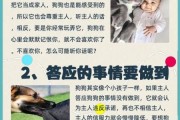 怎么让拉布拉多安静(怎样能让拉布拉多听你话)
