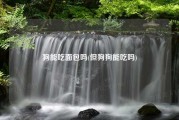 狗能吃面包吗(但狗狗能吃吗)