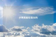小博美能吃馒头吗