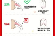 小猫剪指甲的正确方法,两个月的幼猫可以剪指甲吗