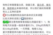 狗粮泡多久最好吃？不同年龄的狗有讲究！