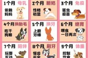 小狗吃奶糕粮要吃到多大,小狗吃奶粉拉稀怎么回事