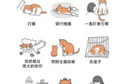 猫咪讨厌你的表现,宠物猫会咬人吗
