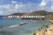 仓鼠几天喂一次(是早晚喂还是分次喂)