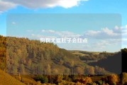 狗狗犬瘟肚子会红点