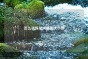 怎么训练柴犬外面大小便