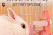 小兔子喝水吗需要给兔子喂水吗,小兔子喝水吗怎么喂