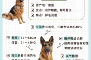 德牧寿命最长多少年,德牧寿命一般是多少年