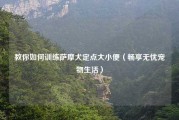 教你如何训练萨摩犬定点大小便（畅享无忧宠物生活）