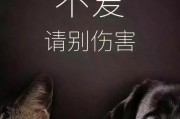 人与狗狗,人与狗狗相处的句子