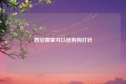 西安哪里可以给狗狗打针