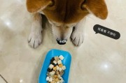 狗狗谨慎食用瓜子仁,避免给狗狗食用炒制瓜子仁