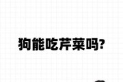 狗能不能吃芹菜豆腐,狗能不能吃芹菜吗