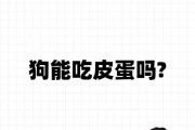 小狗狗能吃皮蛋吗,狗子能不能吃皮蛋