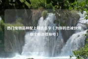 热门宠物品种配上精选名字（为你的忠诚伙伴取个标志性称号）