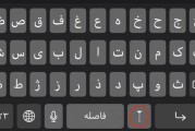 قطتي أكلت ليمونًا! ماذا أفعل؟ دليل سريع للإسعافات الأولية