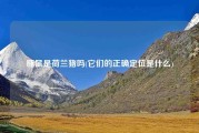豚鼠是荷兰猪吗(它们的正确定位是什么)