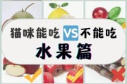 猫咪能吃苹果吗可以吃多少,猫咪能吃苹果吗为什么