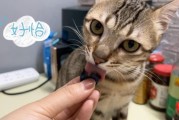 猫吃蓝莓会死吗,猫吃蓝莓会怎么样