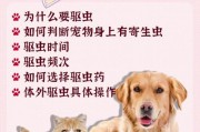猫多久驱一次虫,狗狗多大开始驱虫