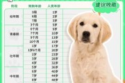 狗一年相当于几岁,猫一年相当于几岁百度百科