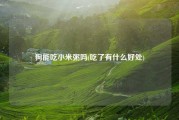 狗能吃小米粥吗(吃了有什么好处)