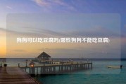 狗狗可以吃豆腐吗(哪些狗狗不能吃豆腐)