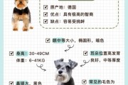 比熊和雪纳瑞哪个好养？这两种狗狗的优缺点全解析