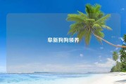 阜新狗狗领养