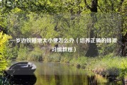 一岁边牧随地大小便怎么办（培养正确的排泄习惯教程）