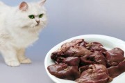 猫咪能吃猪肝吗,泰迪狗能吃猪肝吗