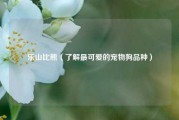 乐山比熊（了解最可爱的宠物狗品种）